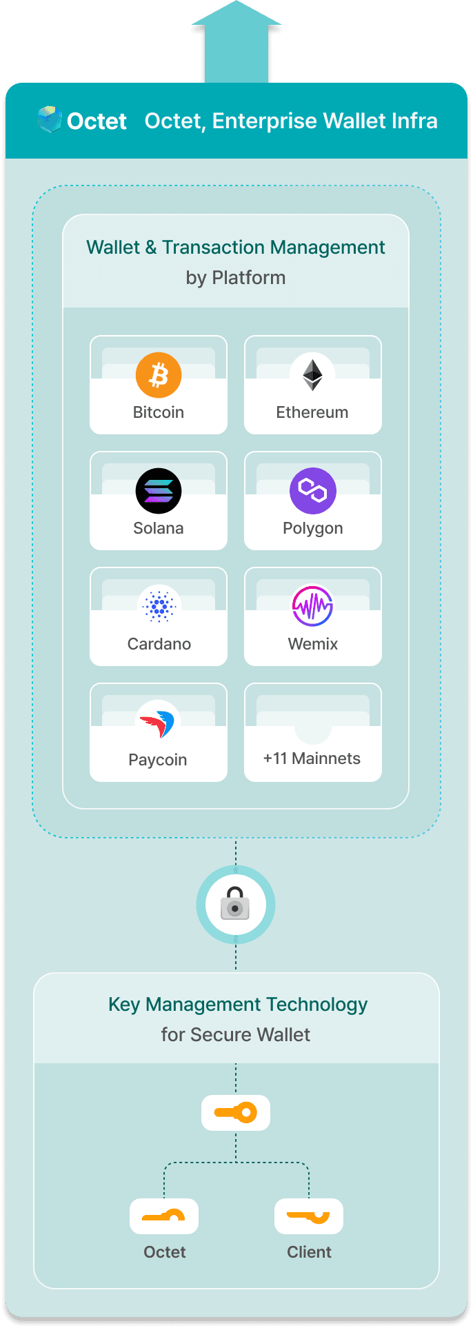 홈페이지 옥텟 로드맵